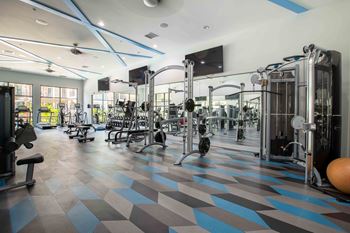 a gym with weights and cardio equipment on a checkered floor
